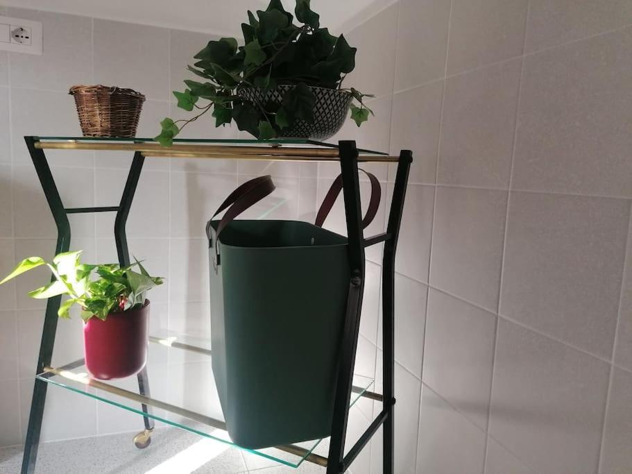 La Soffitta Di Anita Villa Bedonia Luaran gambar