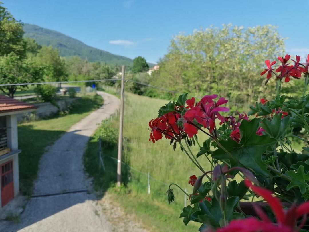La Soffitta Di Anita Villa Bedonia Luaran gambar